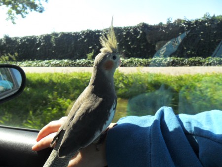 Een ritje met de auto en genieten van het uitzicht